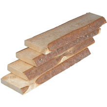 ����� ����������