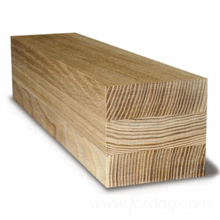 ������� ����