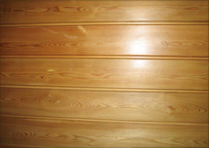 �������� ����� �� �����������